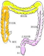 直肠恶变不可忽视
